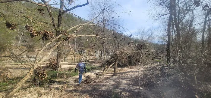 Cedargrove Campground 3