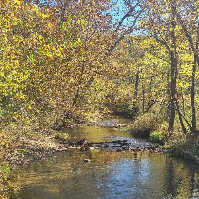 Cedargrove Campground 10