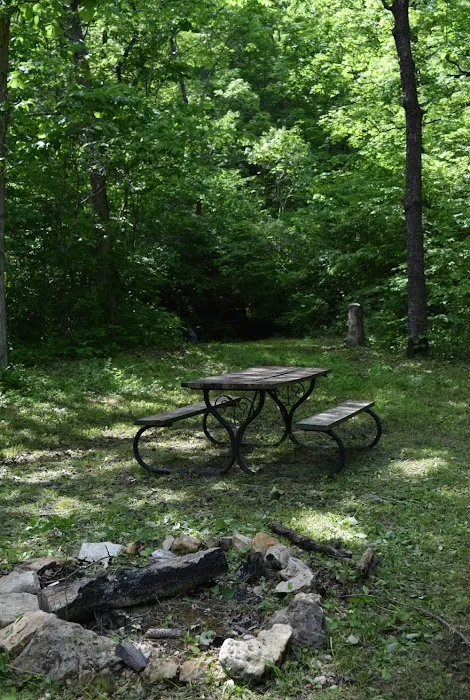 Troublesome Hollow Primitive Campsites 8