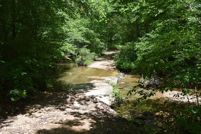 Troublesome Hollow Primitive Campsites 5
