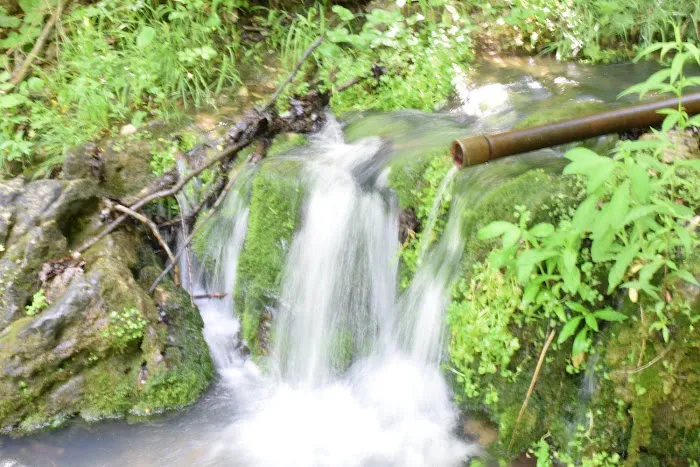 Troublesome Hollow Primitive Campsites 2