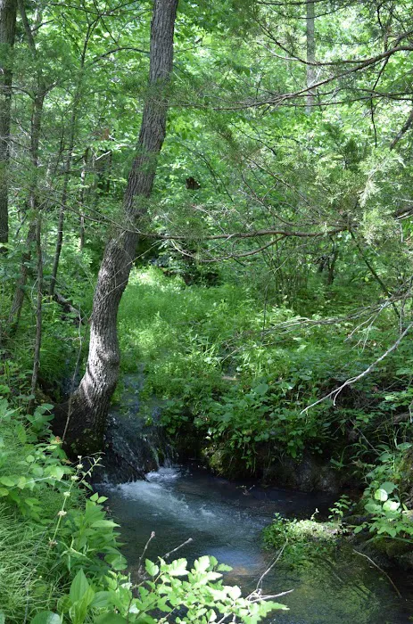 Troublesome Hollow Primitive Campsites 1