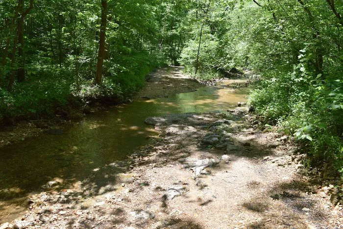 Troublesome Hollow Primitive Campsites 10