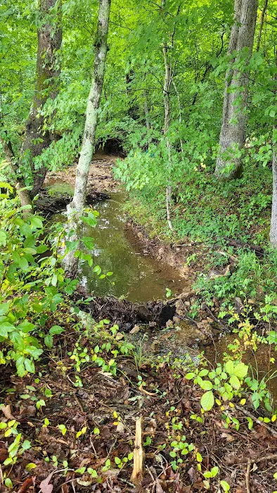 Huff Camp, LLC 8