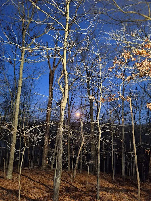 Ridge Campground 7