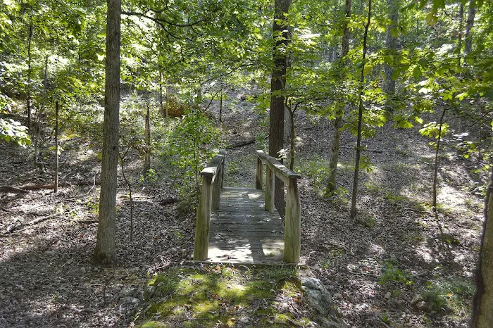 Asher Creek Campground 5