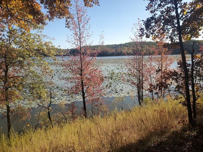 Asher Creek Campground 8