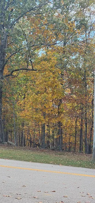 Asher Creek Campground 9