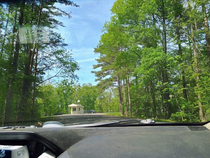 Redman Campground East 4