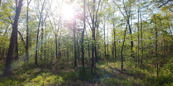 Redman Campground East 10