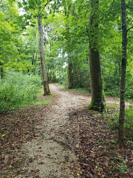 Markham Spring Recreation Area 4