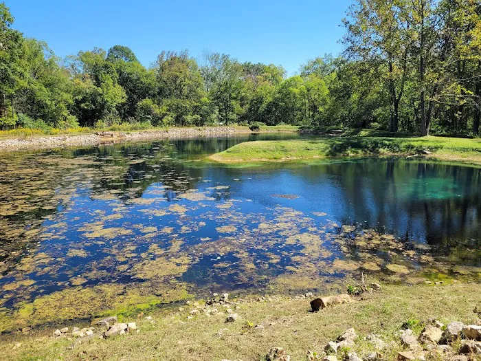 Markham Spring Recreation Area 2
