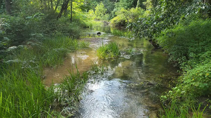 Markham Spring Recreation Area 6
