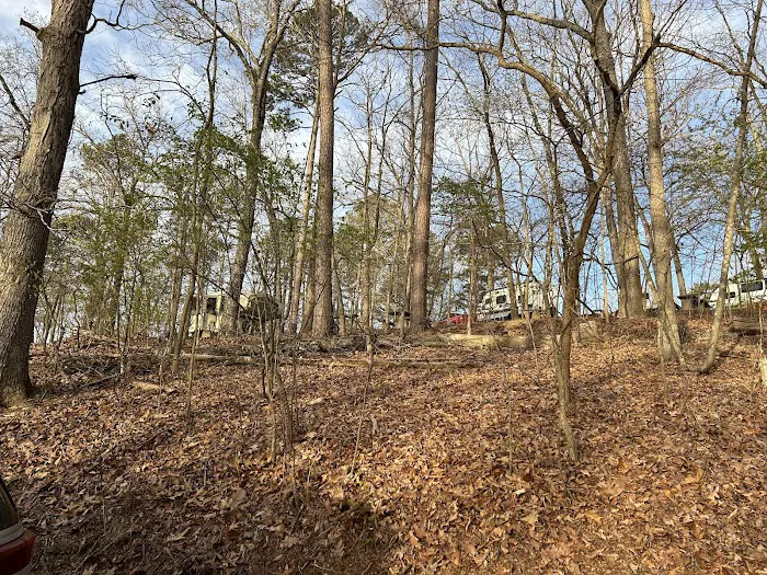 Webb Creek Campground 3