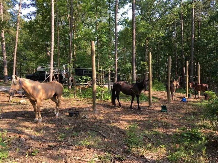 Wrangler Horse Camp 5
