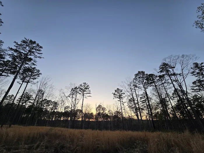 Wrangler Horse Camp 2