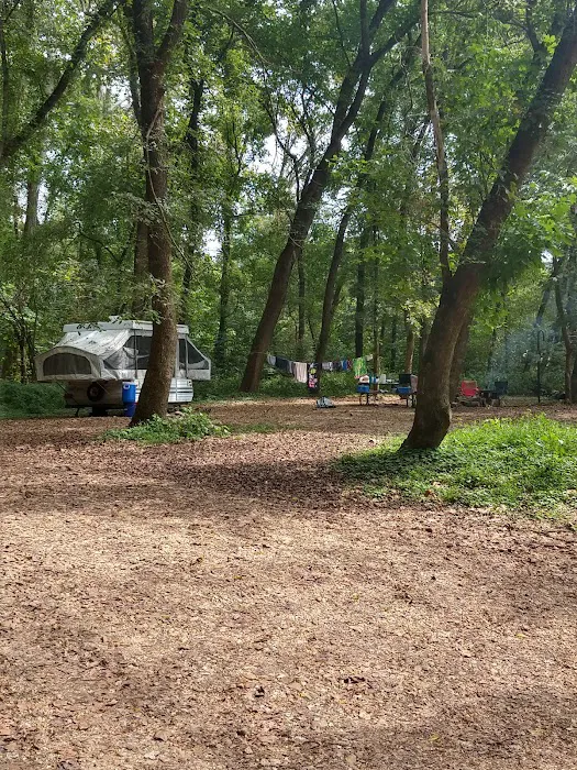Sinking Creek Campground 6