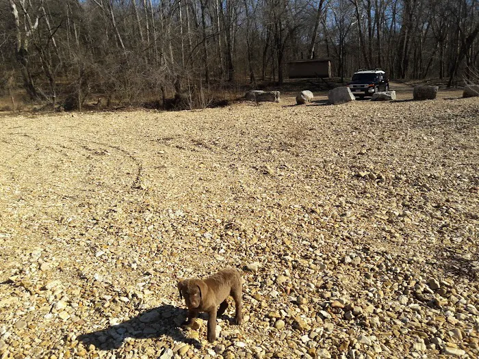 Sinking Creek Campground 2
