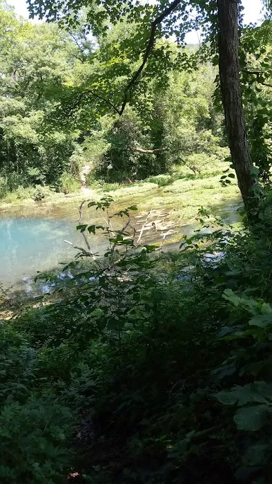 Round Spring Campground 8
