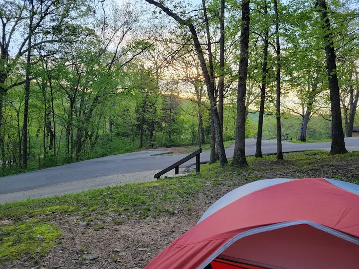 Round Spring Campground 4