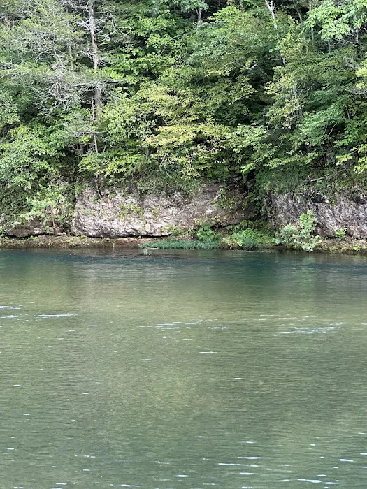 Jerktail Landing Campground 7