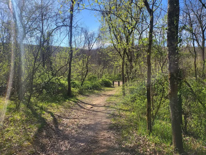 Jerktail Landing Campground 8
