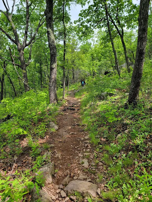 Powder Mill Campground 5