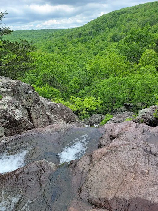Powder Mill Campground 4
