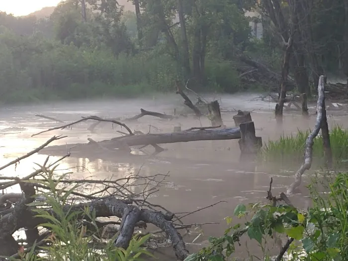 Powder Mill Campground 8