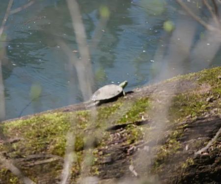 Powder Mill Campground