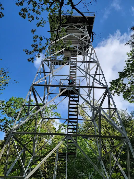 Powder Mill Campground 3