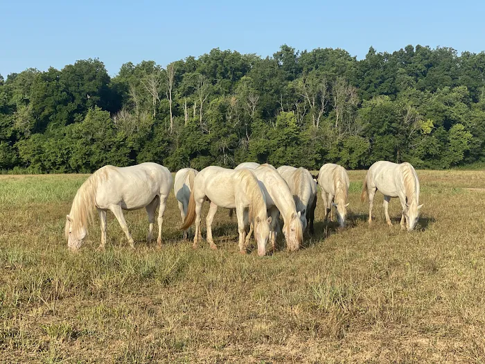 Shawnee Creek Campground 10