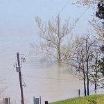 US Army Corps of Engineers