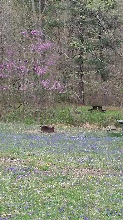 Scioto Trail State Park Walk-In Camping Area 1