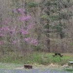 Scioto Trail State Park Walk-In Camping Area