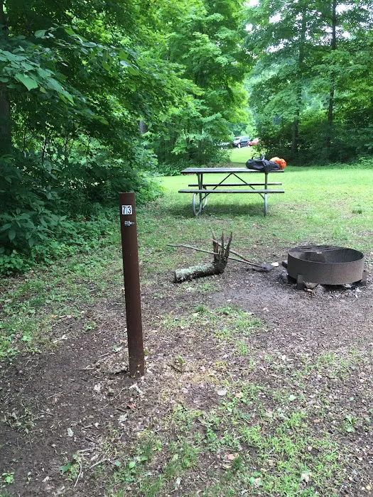 Scioto Trail State Park Walk-In Camping Area 5