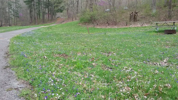 Scioto Trail State Park Walk-In Camping Area 2