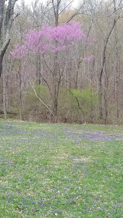 Scioto Trail State Park Walk-In Camping Area 8