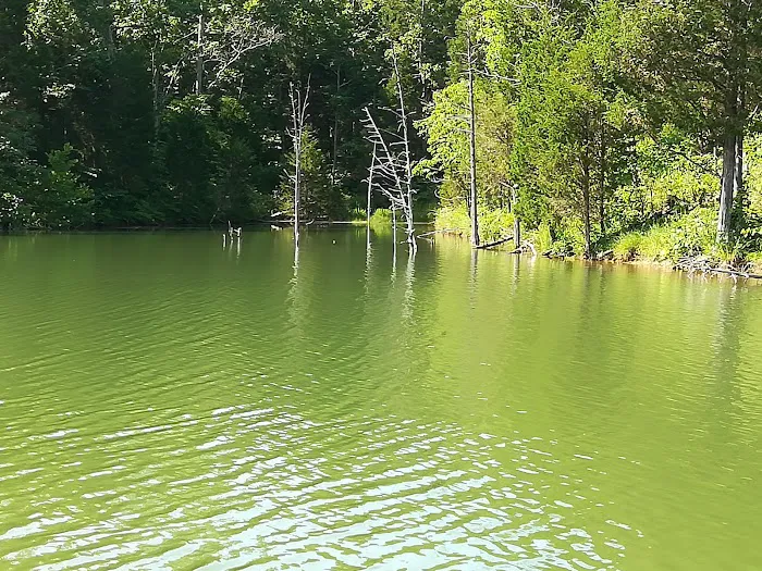 Mineral Springs Lake Resort 8