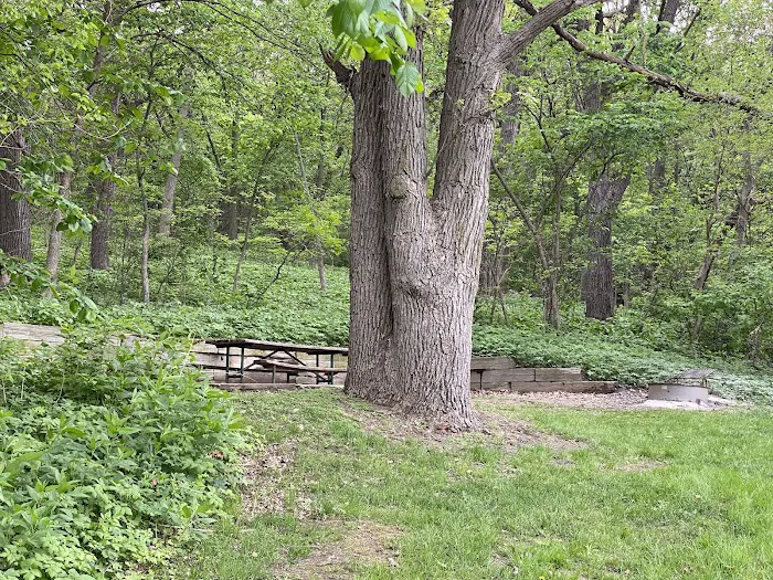 Beaver Creek Campground 8