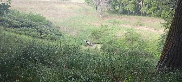 Beaver Creek Campground 6