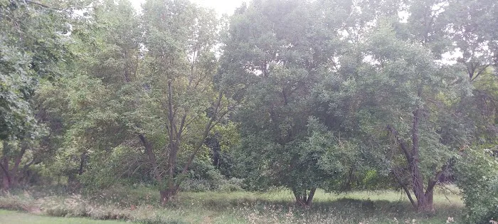 Beaver Creek Campground 4