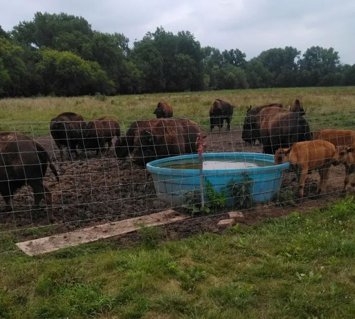 Big ELK PARK 9