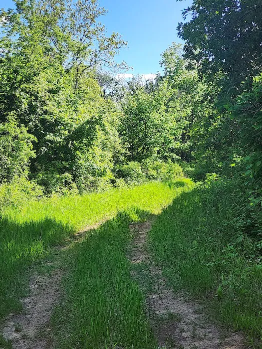 Big ELK PARK 5