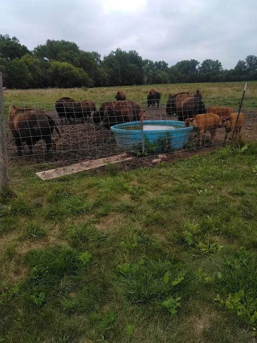 Big ELK PARK 10