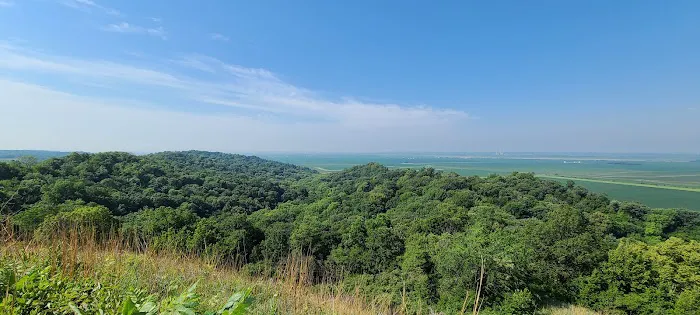 Waubonsie State Park Campground 6