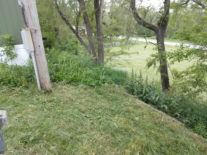 Home Trailer Park 5