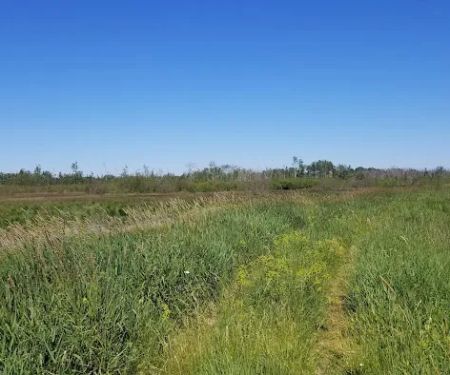 Munuscong State Forest Campgrounds