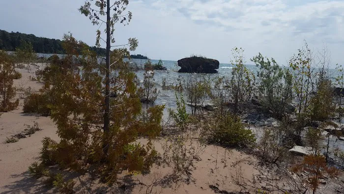 DeTour State Forest Campground 7