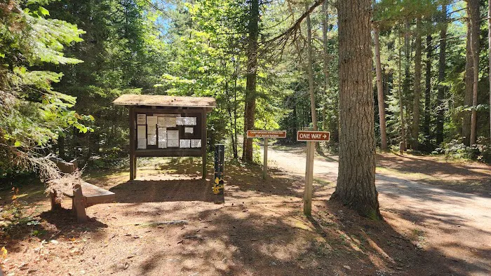 DeTour State Forest Campground 2